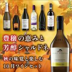 【送料無料】【2本セット】高級シャルドネ飲み比べ♪ナパ&ソノマ 豊穣の恵みと芳醇シャルドネ 秋の味覚と楽しむ10月ワインセット