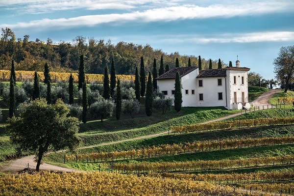 ベルターニ “ソアーヴェ・ベルターニ”ヴィンテージ・エディション 2022