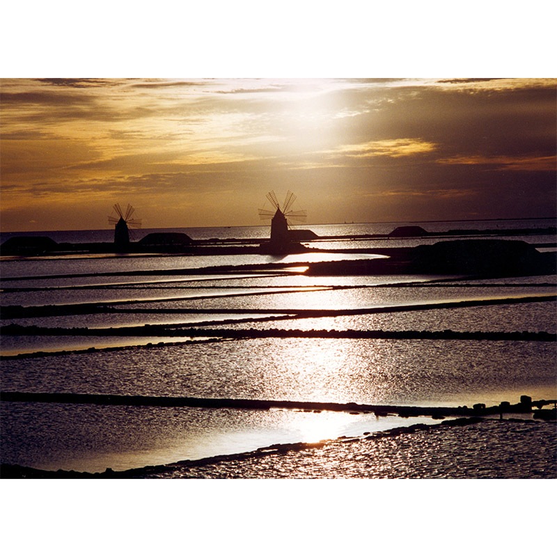 ソサルト “エガディ”サーレ・フィーノ(細粒) | イタリアワイン