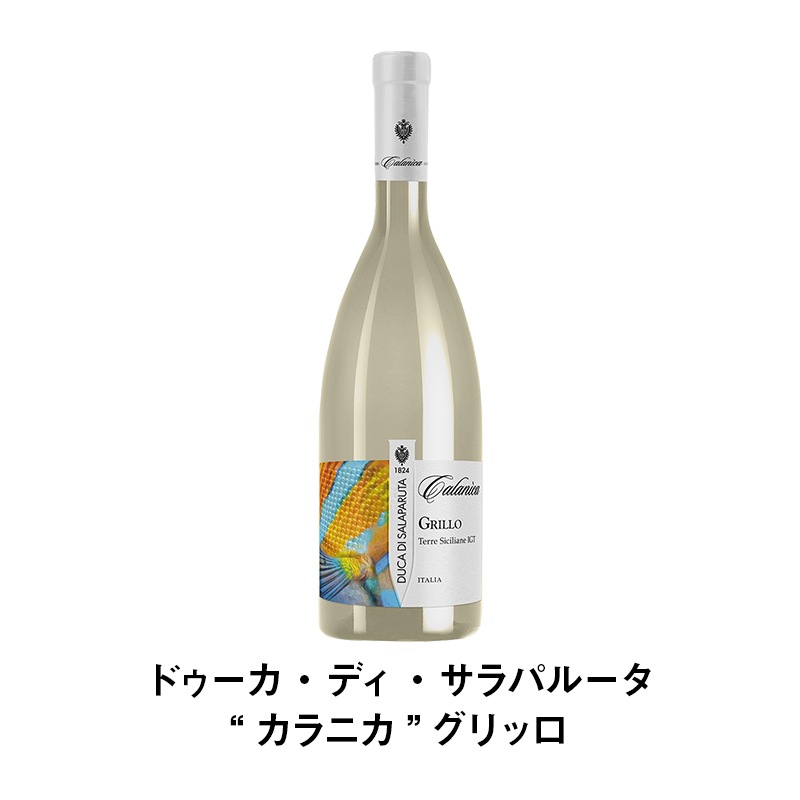 セットワイン 【数量限定】秋の味覚と楽しむ10月のワインセット【41