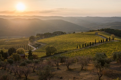 メリーニ パッシエーノ 2019 | イタリアワイン・イタリア食材の通販