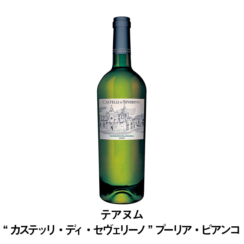 セットワイン 南イタリア満喫のワインセット☆9本で15,000円☆【送料