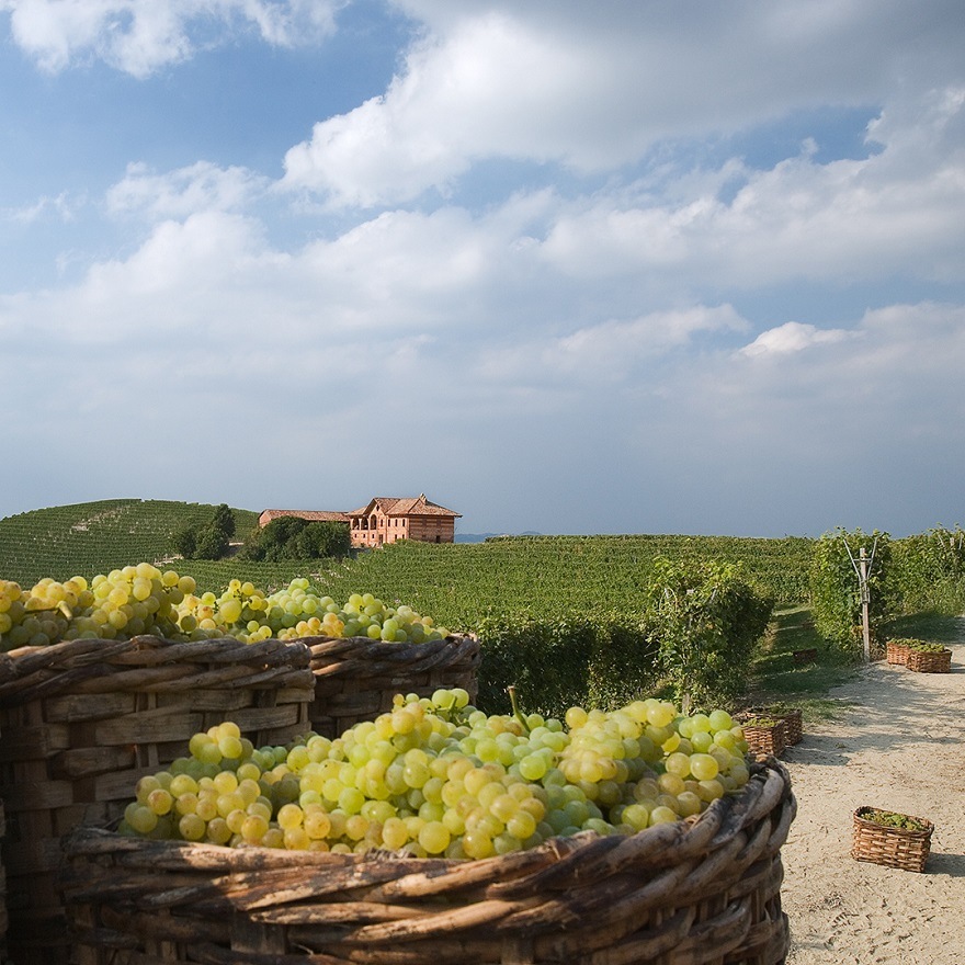 フォンタナフレッダ 【トリュ＆ポル特集】アスティ | イタリアワイン
