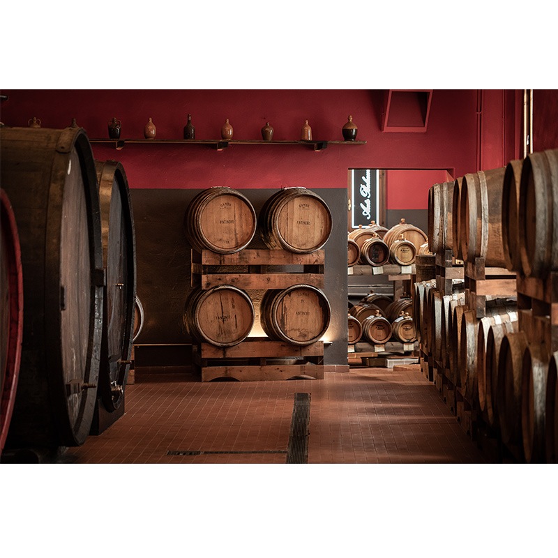 アドリアーノ・グロソリ dal1891 アチェート・バルサミコ | イタリア