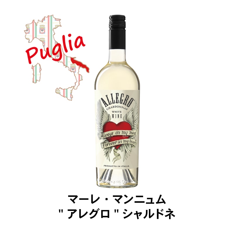 樽リッチ イタリア周遊 シャルドネ飲み比べ5本セット【送料無料・26