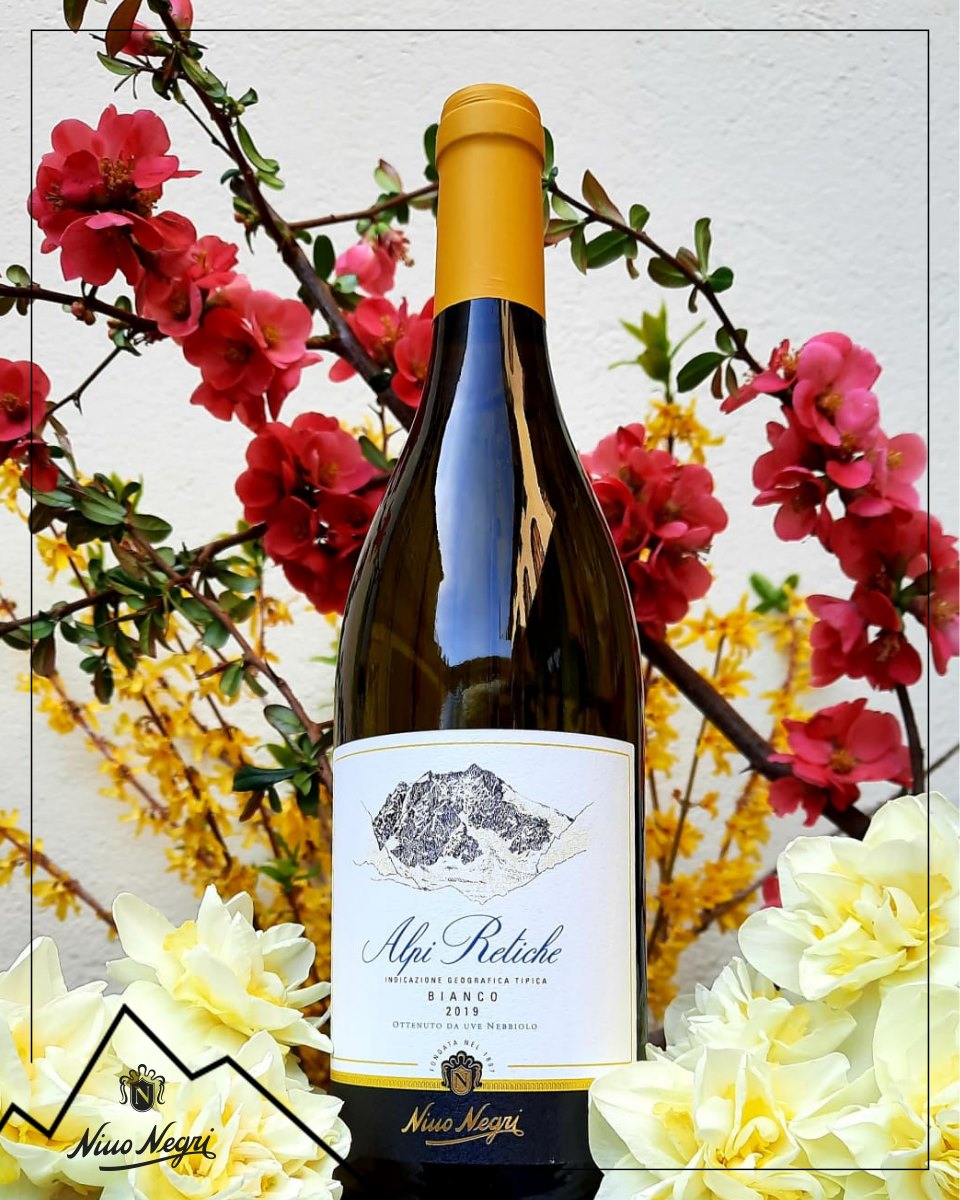 ニーノ・ネグリ アルピ・レティケ・ビアンコ 2024 | イタリアワイン