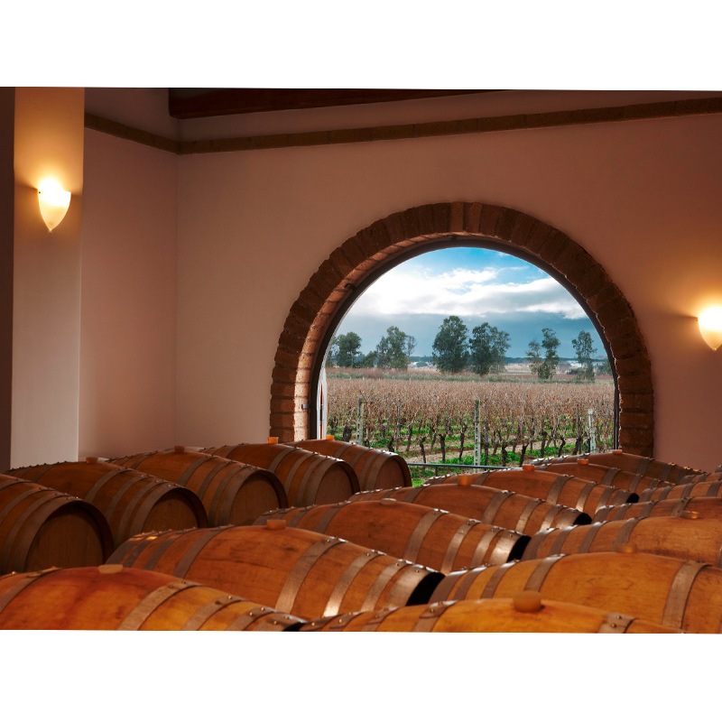 ヴィッラ・マティルデ ファレルノ・デル・マッシコ・ロッソ 2020