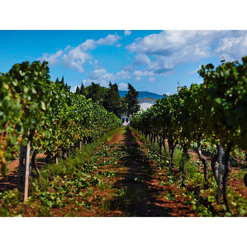 【希少】イタリア製 ロンザン セラミック レオパード ヴィンテージ　幅約46cm ヴィッラ・マティルデ “ロッカレオーニ”アリアニコ・カンパーニア 2021