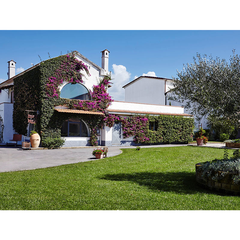 ヴィッラ・マティルデ “ロッカレオーニ”アリアニコ・カンパーニア 2021