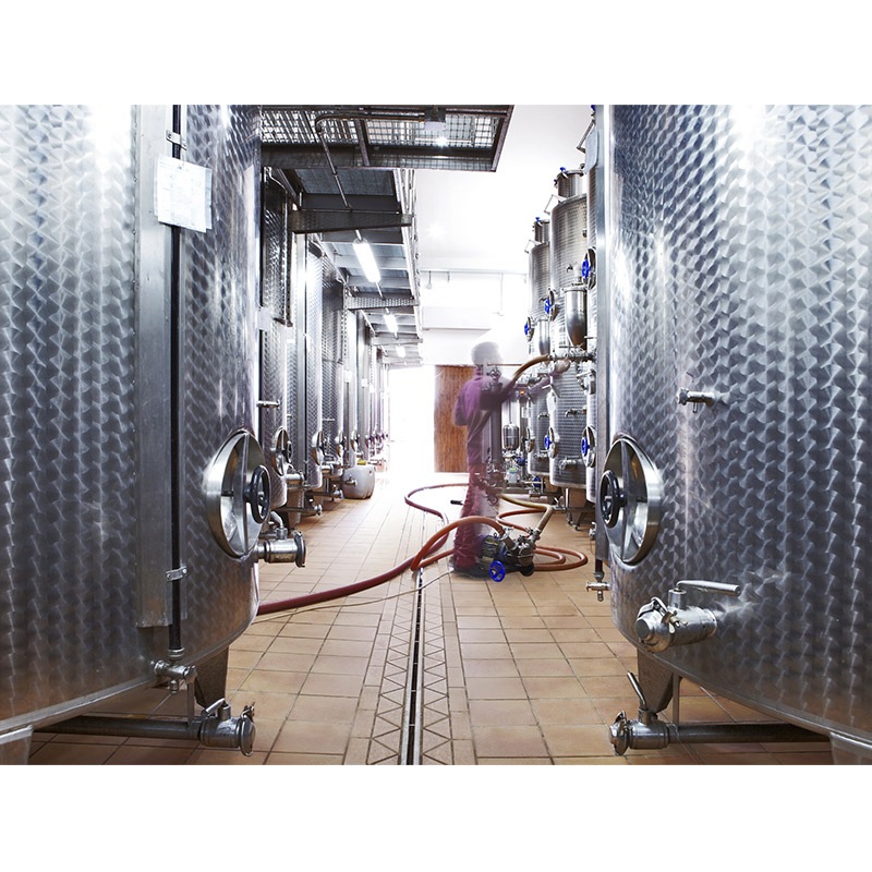 ヴィッラ・マティルデ “ロッカレオーニ”アリアニコ・カンパーニア 2021