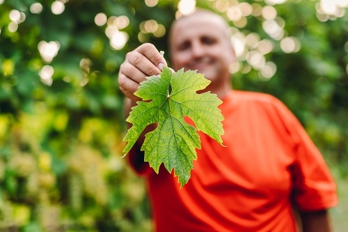 テッレ・チェヴィコ “ラララ”スプマンテ・ロッソ | イタリアワイン