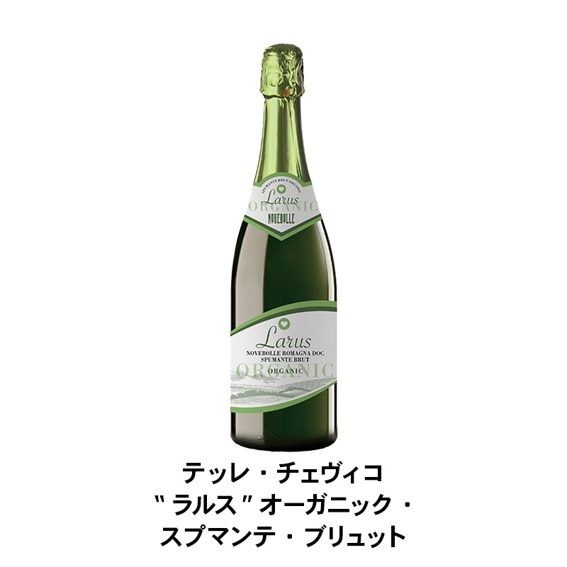 初秋の高貴なトスカーナ 高評価2021 ヴィーノ・ノービレ・ディ