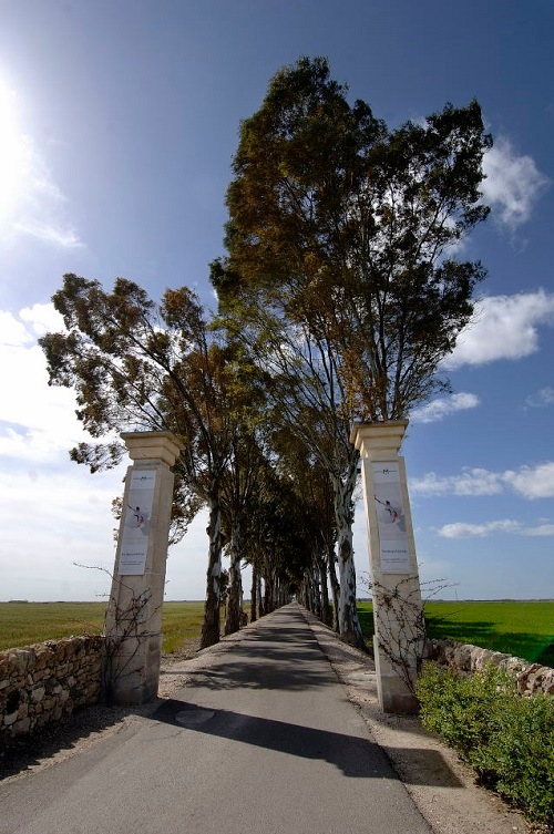 カステッロ・モナチ フェウド・モナチ フィアーノ・サレント 2024 カステッロ・モナチ フェウド・モナチ フィアーノ・サレント 2024