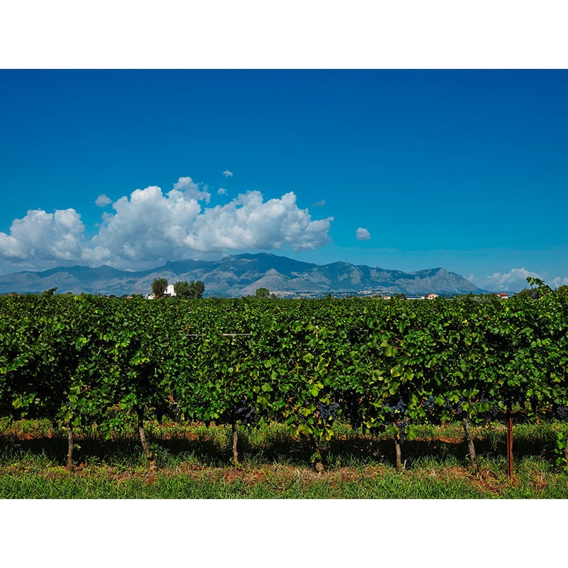 ヴィッラ・マティルデ フィアーノ・ディ・アヴェッリーノ 2023