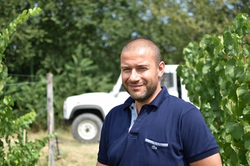 リブランディ チロ・ロザート 2024 | イタリアワイン・イタリア食材の