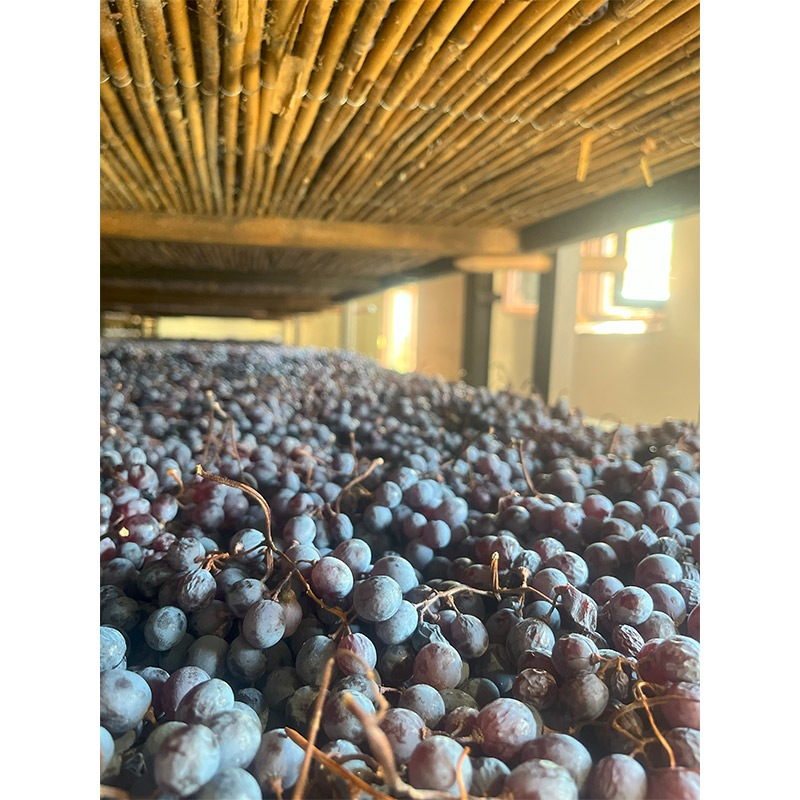 日本初上陸・先行発売】3セット限定 ベルターニ・オン アマローネ