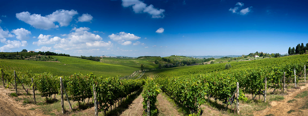 ラ・スピネッタ サッソンティーノ・リゼルヴァ 2005 | イタリアワイン