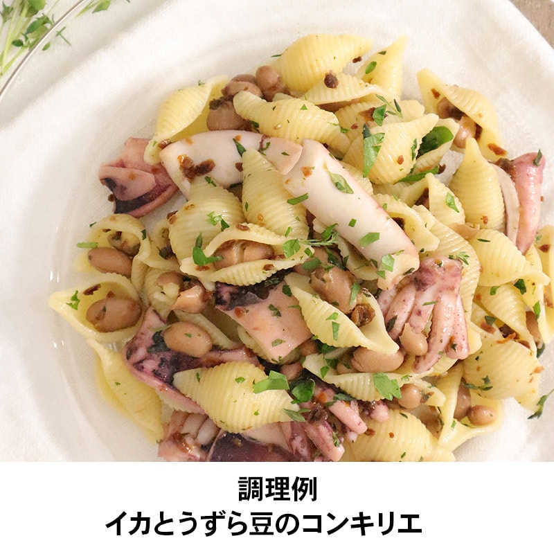 ラ・モリサーナ コンキリエ・リガーテ・ブロンズ(No.25) シェル