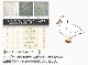 寝袋 <br>エアピロー付き