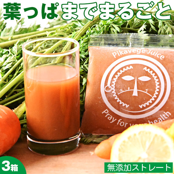 葉っぱ付きまるごとにんじんジュース ３箱 冷凍ジュース 100cc 90パック