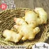 Ĺ�긩�� ̵���� ��ժ (����ժ) 1kg / 2kg / 3kg / 4kg �ڤ��礦���ۡڥ��祦����