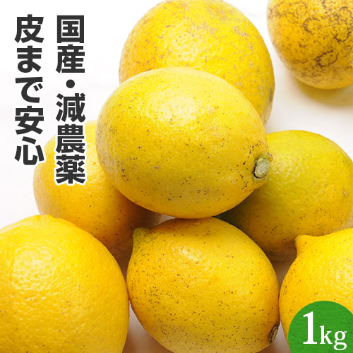 マイヤーレモン　10kg 1級品 楽天市場】レモン 国産 10kg 送料無料 ＜9月下旬頃より順次出荷＞ 減