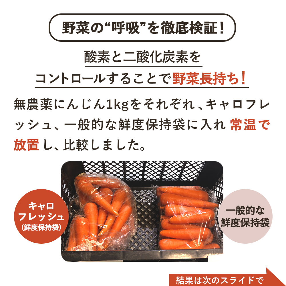 ������ ̵�����ˤ󤸤� 10kg ���������������Ի��� �ͻ�