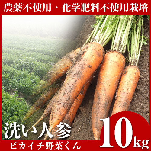 ������ ̵�����ˤ󤸤� 10kg ���������������Ի��� �ͻ�