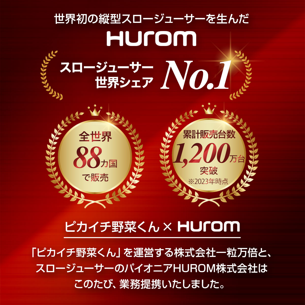 �ҥ塼���ॹ�������塼���� E30ST hurom �����٤���ŵ�դ���