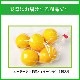 �˥塼�������ɻ� �ᥤ�䡼���󣵸ġ��Υ󥱥ߥ���