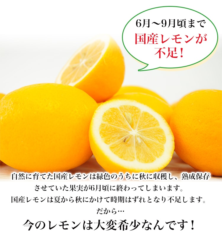 �˥塼�������ɻ� �ᥤ�䡼���󣱣��ġ��Υ󥱥ߥ���