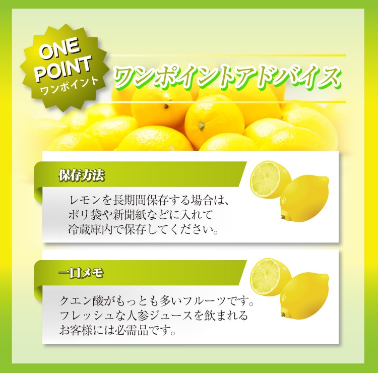 �˥塼�������ɻ� �ᥤ�䡼���󣱣��ġ��Υ󥱥ߥ���