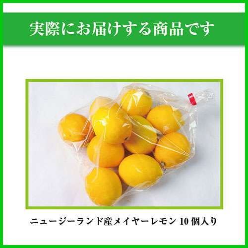 �˥塼�������ɻ� �ᥤ�䡼���󣱣��ġ��Υ󥱥ߥ���