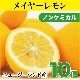 �˥塼�������ɻ� �ᥤ�䡼���󣱣��ġ��Υ󥱥ߥ���