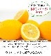 �˥塼�������ɻ� �ᥤ�䡼���󣱣��ġ��Υ󥱥ߥ���