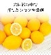 �˥塼�������ɻ� �ᥤ�䡼���󣱣��ġ��Υ󥱥ߥ���