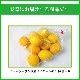 �˥塼�������ɻ� �ᥤ�䡼���󣱣��ġ��Υ󥱥ߥ���