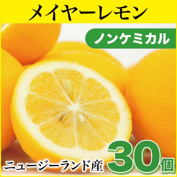 �˥塼�������ɻ� �ᥤ�䡼���󣳣��ġ��Υ󥱥ߥ���