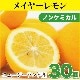 �˥塼�������ɻ� �ᥤ�䡼���󣳣��ġ��Υ󥱥ߥ���