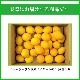 �˥塼�������ɻ� �ᥤ�䡼���󣳣��ġ��Υ󥱥ߥ���