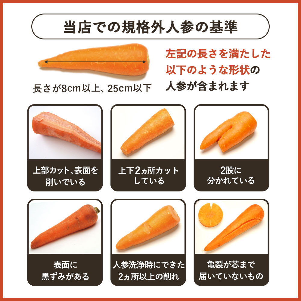 ������ ̵�����ˤ󤸤� 5kg ���������������Ի��� �ͻ�