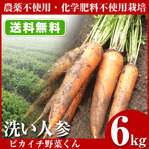 ̵ˤ󤸤  ̵  ̵ݡ ڤˤ󤸤󥸥塼