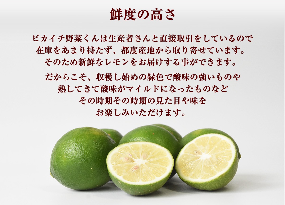 ���츩�� ���� 500g���� ���̺�������ʪ