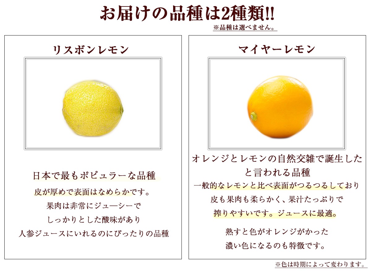 ���츩�� ���� 500g���� ���̺�������ʪ