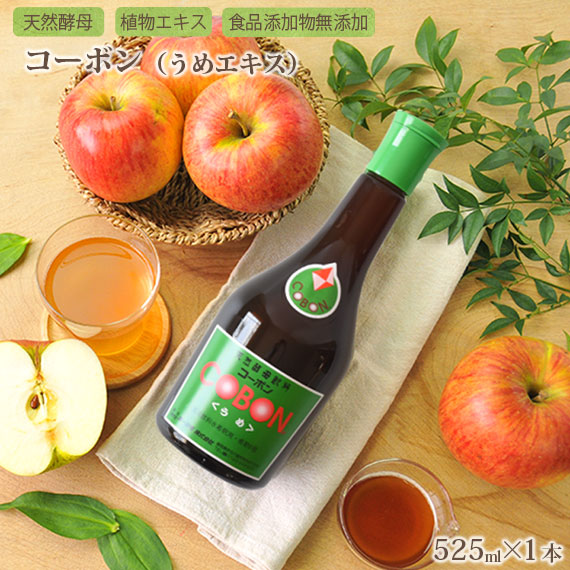 ŷ������ �����ܥ�ʤ��ᥨ������ 525ml 1�� ��ʪ������ ���� �ɥ�� ����̵��