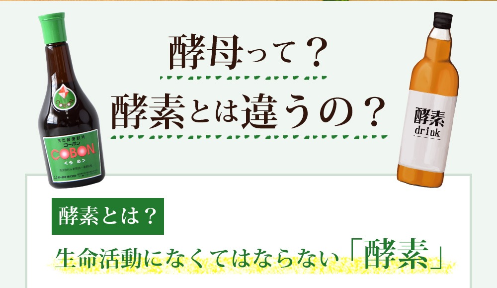 ŷ������ �����ܥ�ʤ��ᥨ������ 525ml 1�� ��ʪ������ ���� �ɥ�� ����̵��