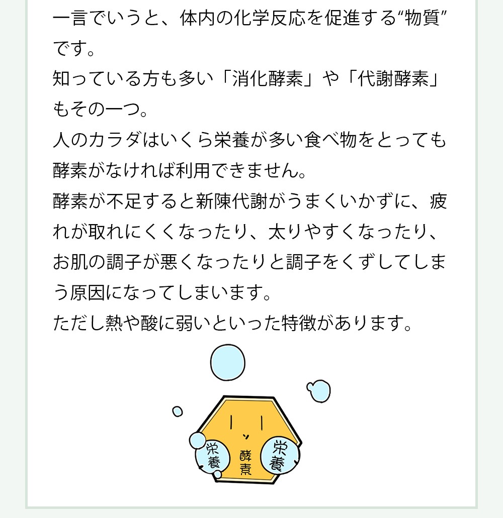 ŷ������ �����ܥ�ʤ��ᥨ������ 525ml 1�� ��ʪ������ ���� �ɥ�� ����̵��