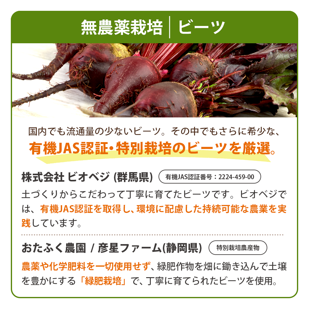 ���������ڥ��塼��������٥��åȡʣ���/����/�����ѥå��ˡ����ॸ�塼���ۡڤˤ󤸤󥸥塼���ۡ�����̵����