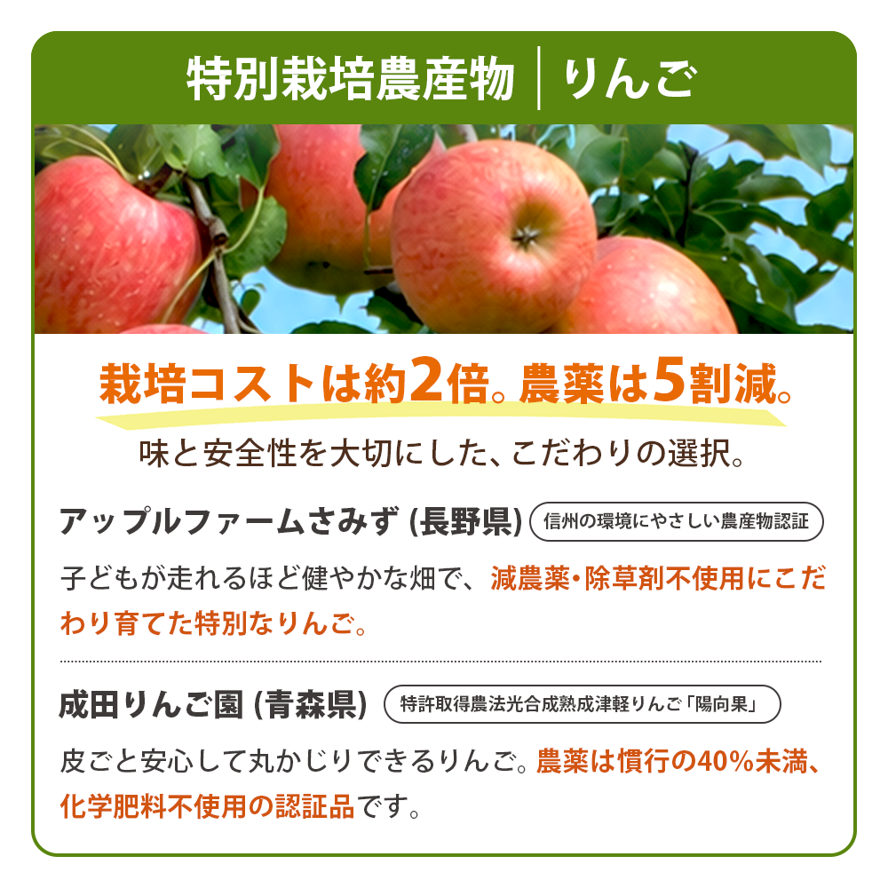 ���������ڥ��塼��������٥��åȡʣ���/����/�����ѥå��ˡ����ॸ�塼���ۡڤˤ󤸤󥸥塼���ۡ�����̵����