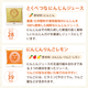 ���������ڥ��塼��������٥��åȡʣ���/����/�����ѥå��ˡ����ॸ�塼���ۡڤˤ󤸤󥸥塼���ۡ�����̵����